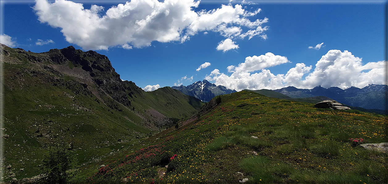 foto Forcella di Valsorda